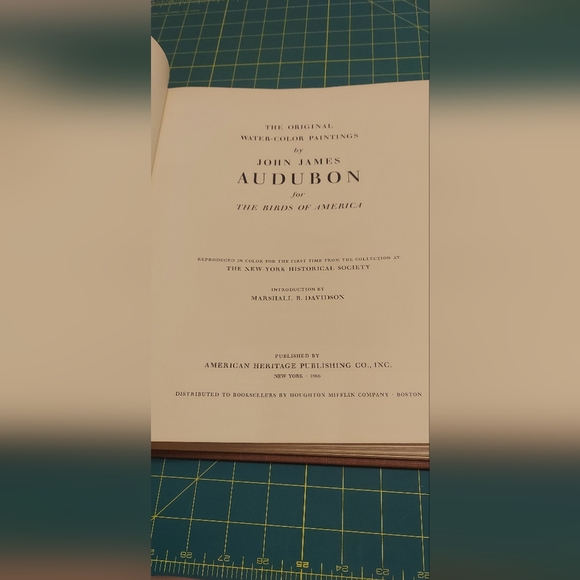 Crested Bobwhite, Mountain Quail, Cr.Auklet, Ancient Murrelet, Least A.,Rhino.A - Picture 5 of 6